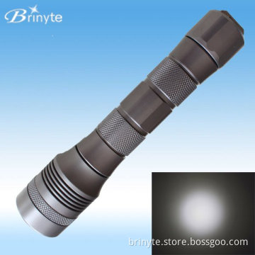 Waterproor IP68 Underwater 150-200m Div01 Scuba Diving LED Flashlight (DIV01)